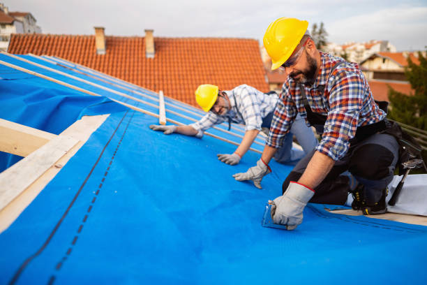 Best Roof Maintenance Services  in Tipton, IA