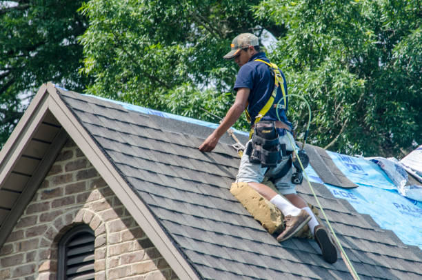 Professional Roofing Contractor in Tipton, IA